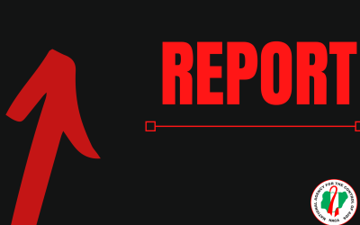 NACA ANNUAL REPORT 2013